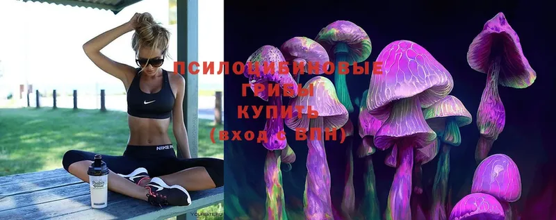 дарнет шоп  Калининец  Псилоцибиновые грибы MAGIC MUSHROOMS 